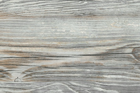 Стеновая панель Painted Pine 8124